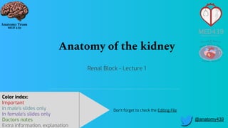 Renal Block - Lecture 1
Don’t forget to check the Editing File
Color index:
Important
Males slides
Doctors notes
female’s slides only
Anatomy of the kidney
Color index:
Important
In male’s slides only
In female’s slides only
Doctors notes
Extra information, explanation
@anatomy439
 