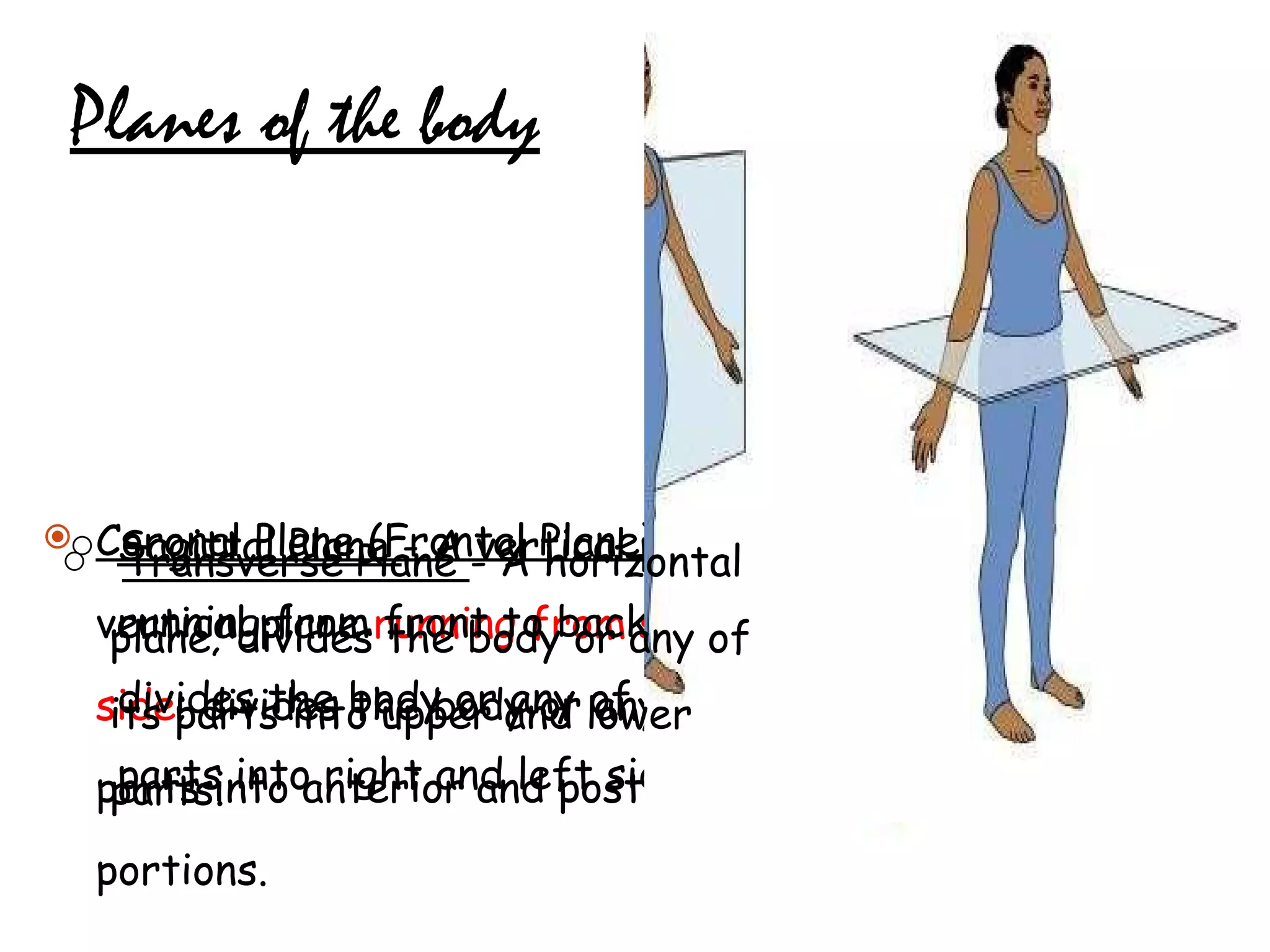 Planes of the body Coronal Plane (Frontal Plane)  - A vertical plane  running from side to side ; divides the body or any of its parts into anterior and posterior portions. Sagittal Plane  - A vertical plane running from front to back; divides the body or any of its parts into right and left sides. Transverse Plane  - A horizontal plane; divides the body or any of its parts into upper and lower parts. 