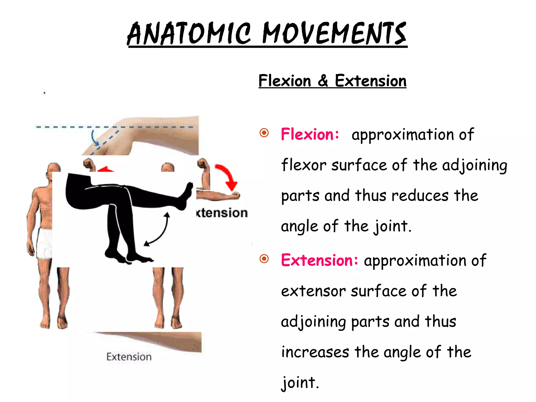 ANATOMIC MOVEMENTS Flexion & Extension Flexion:  approximation of flexor surface of the adjoining parts and thus reduces the angle of the joint. Extension:  approximation of extensor surface of the adjoining parts and thus increases the angle of the joint. 