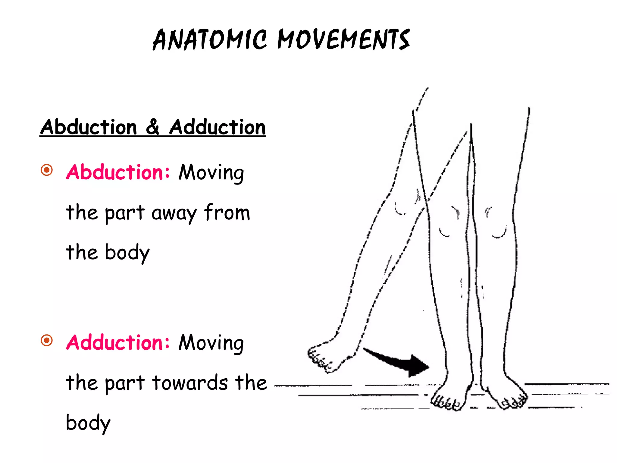 ANATOMIC MOVEMENTS Abduction & Adduction Abduction:  Moving the part away from the body Adduction:  Moving the part towards the body 