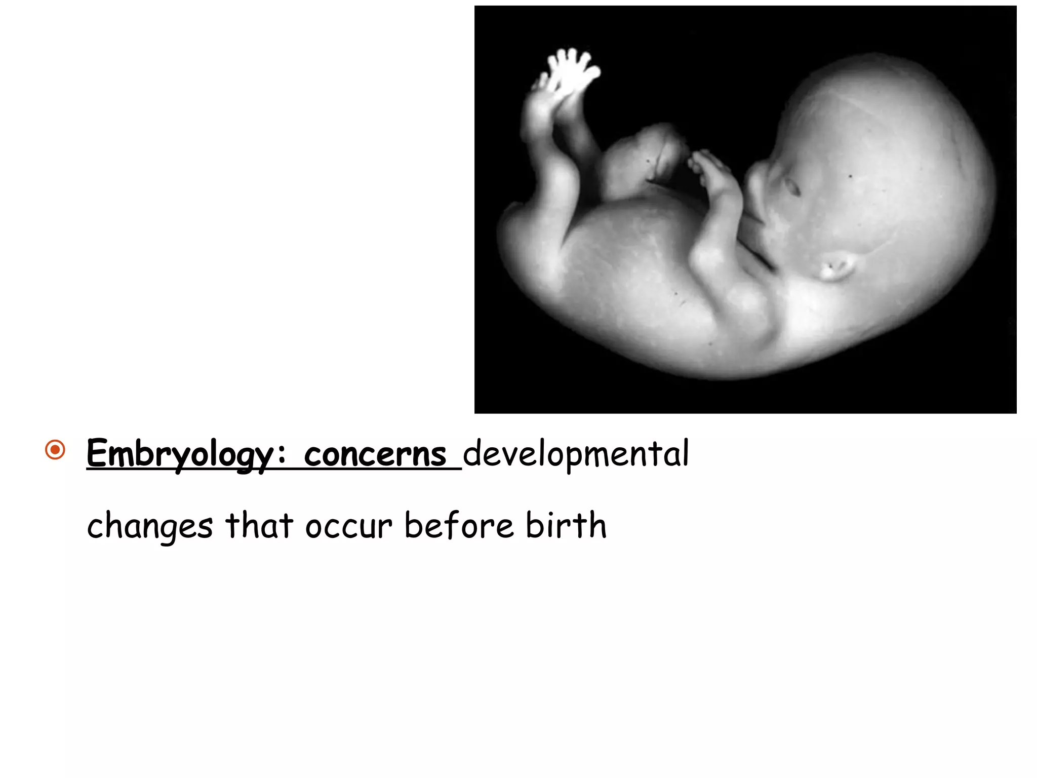 Embryology: concerns  developmental changes that occur before birth 