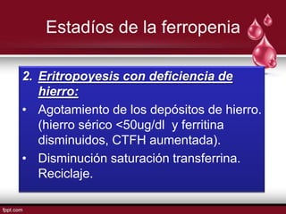 Estadíos de la ferropenia

2. Eritropoyesis con deficiencia de
   hierro:
• Agotamiento de los depósitos de hierro.
   (hierro sérico <50ug/dl y ferritina
   disminuidos, CTFH aumentada).
• Disminución saturación transferrina.
   Reciclaje.
 