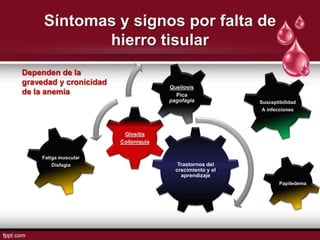 Síntomas y signos por falta de
            hierro tisular
Dependen de la
gravedad y cronicidad
                                      Queilosis
de la anemia                            Pica
                                      pagofagia            Susceptibilidad
                                                           A infecciones




                         Glositis
                        Coiloniquia

     Fatiga muscular
         Disfagia                        Trastornos del
                                        crecimiento y el
                                          aprendizaje
                                                                   Papiledema
 