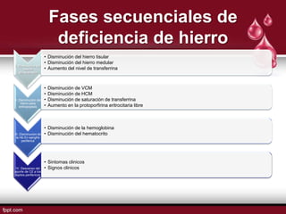 Fases secuenciales de
                           deficiencia de hierro
                      • Disminución del hierro tisular
                      • Disminución del hierro medular
I. Diminución del
      hierro          • Aumento del nivel de transferrina
   almacenado



                      •   Disminución de VCM
                      •   Disminución de HCM
II. Disminución del   •   Disminución de saturación de transferrina
     hierro para
    eritropoyesis     •   Aumento en la protoporfirina eritrocitaria libre



                      • Disminución de la hemoglobina
III. Disminucion de   • Disminución del hematocrito
 la Hb En sangfre
      periferica




                      • Sintomas clinicos
 IV. Descenso del     • Signos clinicos
aporte de O2 a los
tejidos perifericos
 