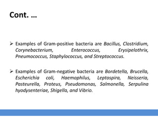Cont. …
› Using the Gram staining procedure, bacteria can be divided into two broad groups:
1. Gram-positive
2. Gram-negative
› This classification is based on the ability of cells to retain the dye methyl violet after
washing with a decolorizing agent such as absolute alcohol or acetone.
 