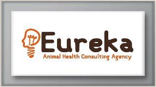 Antibiotics_Understanding_Basics