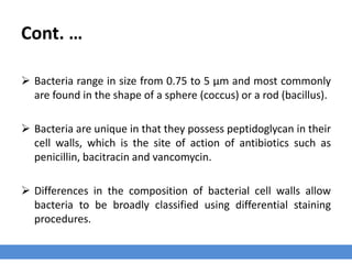 Cont. …
Bacteria size and shape
› Bacteria range in size from 0.75 to 5 μm and most commonly are found in the shape
of a sphere (coccus) or a rod (bacillus).
Bacteria unique structure
› Bacteria are unique in that they possess peptidoglycan in their cell walls, which is the
site of action of antibiotics such as penicillin, bacitracin and vancomycin.
 