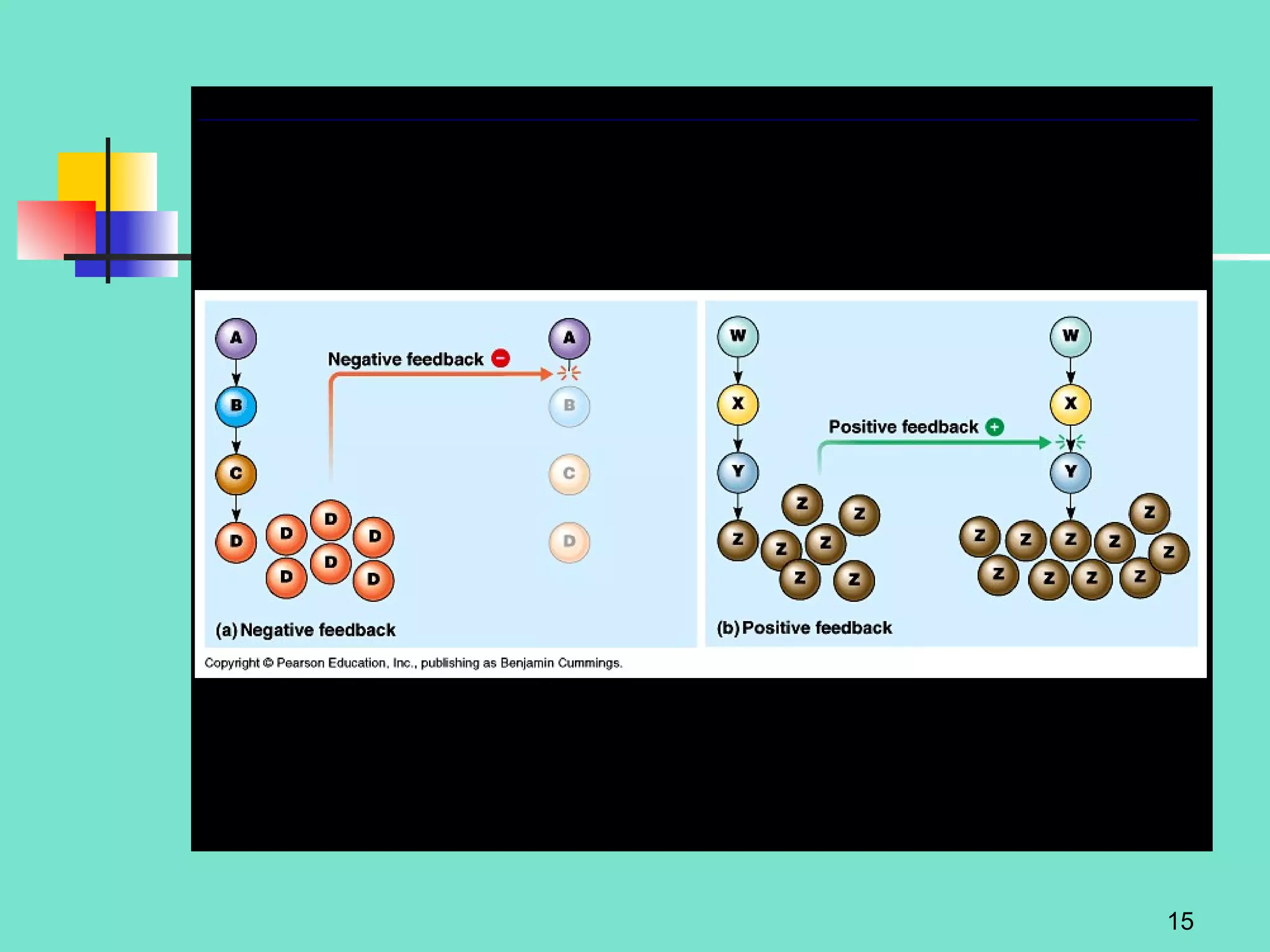 See Fig. 1.6  modified 