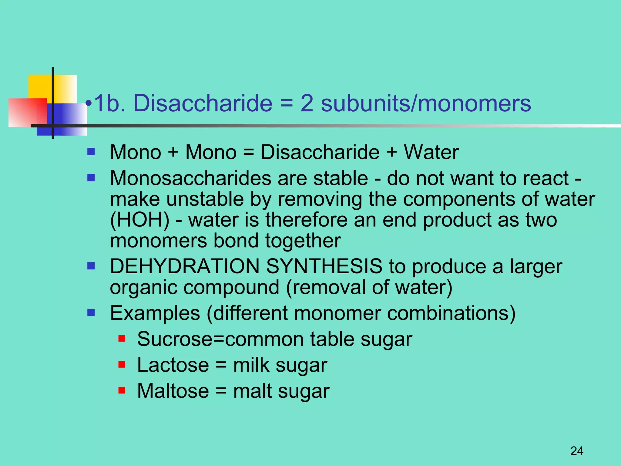 1b. Disaccharide = 2 subunits/monomers Mono + Mono = Disaccharide + Water Monosaccharides are stable - do not want to react - make unstable by removing the components of water (HOH) - water is therefore an end product as two monomers bond together DEHYDRATION SYNTHESIS to produce a larger organic compound (removal of water) Examples (different monomer combinations)  Sucrose=common table sugar Lactose = milk sugar Maltose = malt sugar 