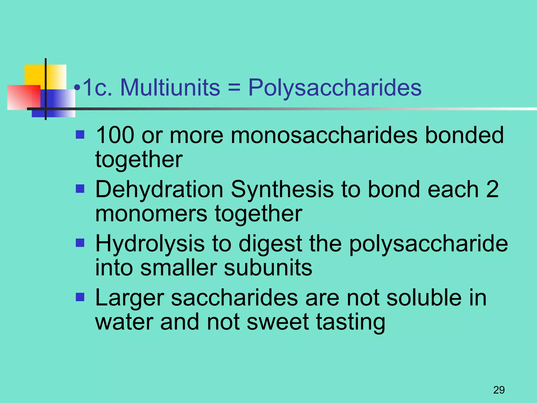 1c. Multiunits = Polysaccharides 100 or more monosaccharides bonded together Dehydration Synthesis to bond each 2 monomers together Hydrolysis to digest the polysaccharide into smaller subunits Larger saccharides are not soluble in water and not sweet tasting 