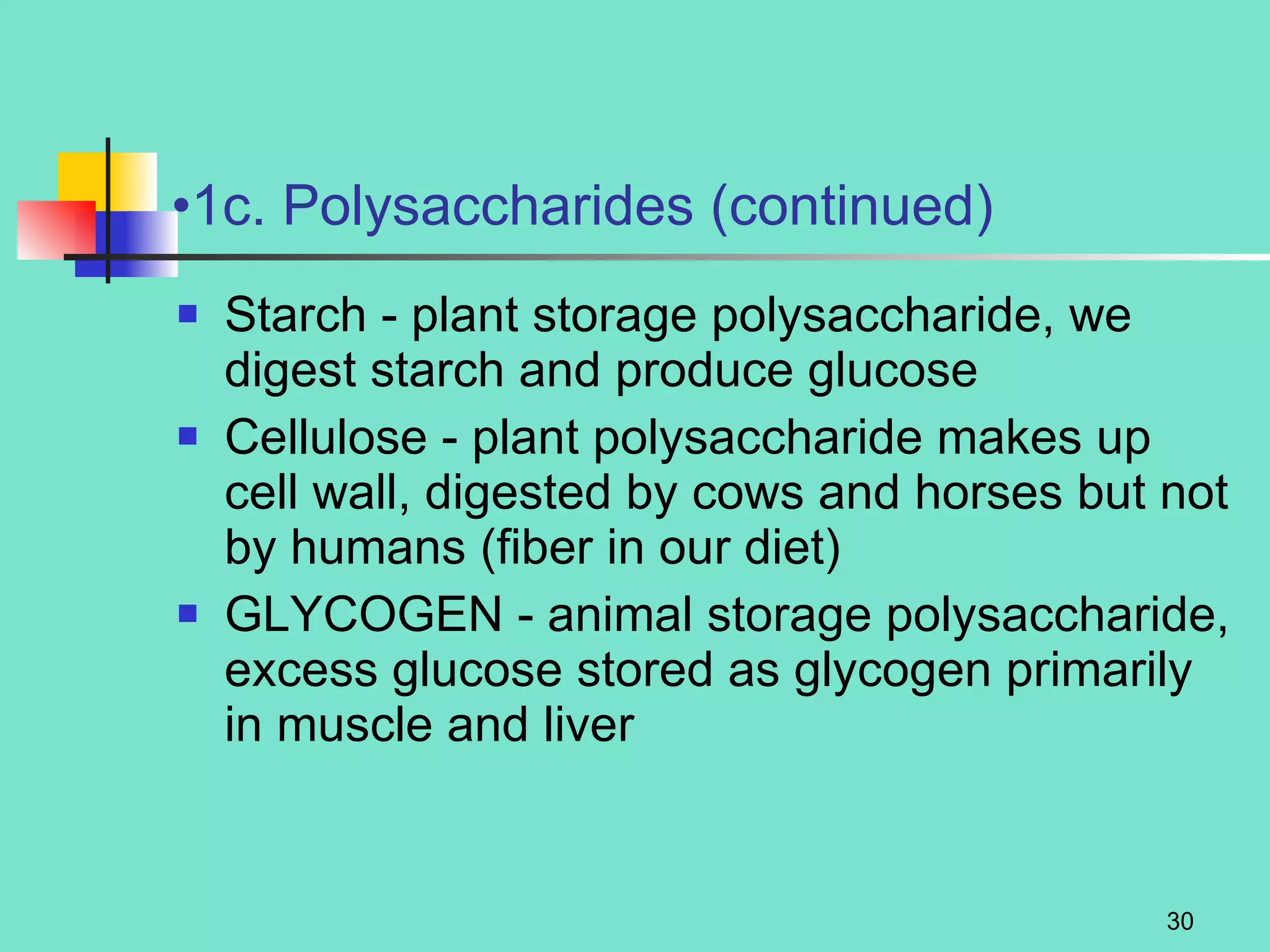 1c. Polysaccharides (continued) Starch - plant storage polysaccharide, we digest starch and produce glucose Cellulose - plant polysaccharide makes up cell wall, digested by cows and horses but not by humans (fiber in our diet) GLYCOGEN - animal storage polysaccharide, excess glucose stored as glycogen primarily in muscle and liver 