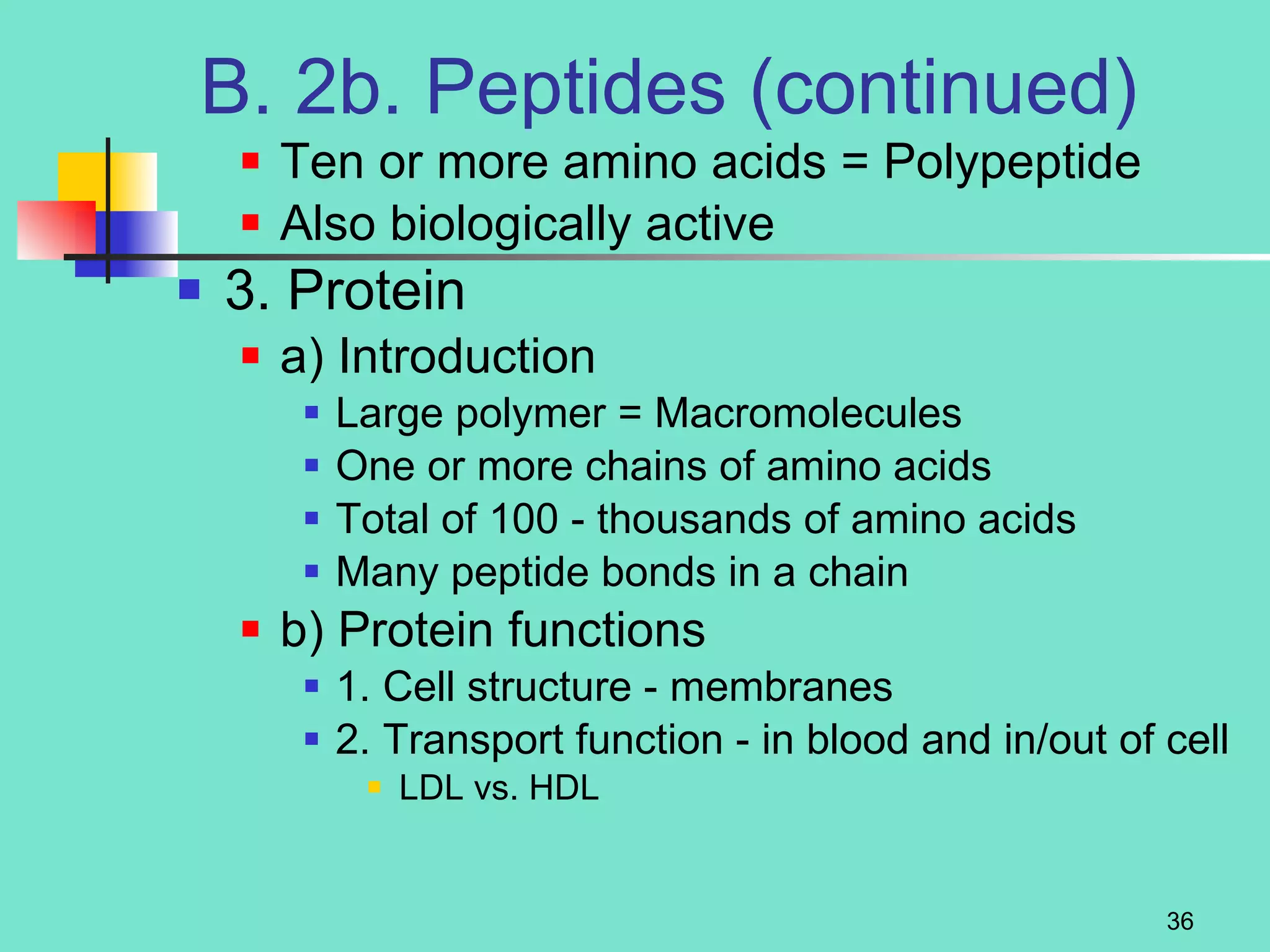 B. 2b. Peptides (continued) Ten or more amino acids = Polypeptide Also biologically active 3. Protein a) Introduction Large polymer = Macromolecules One or more chains of amino acids Total of 100 - thousands of amino acids Many peptide bonds in a chain b) Protein functions 1. Cell structure - membranes 2. Transport function - in blood and in/out of cell LDL vs. HDL 