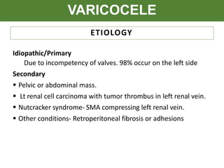 VARICOCELE
ETIOLOGY
Idiopathic/Primary
Due to incompetency of valves. 98% occur on the left side
Secondary
 Pelvic or abdominal mass.
 Lt renal cell carcinoma with tumor thrombus in left renal vein.
 Nutcracker syndrome- SMA compressing left renal vein.
 Other conditions- Retroperitoneal fibrosis or adhesions
 