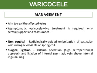 VARICOCELE
MANAGEMENT
 Aim to seal the affected veins
 Asymptomatic varicocele—No
scrotal support and reassurance
treatment is required, only
 Non surgical - Radiologically-guided embolization of testicular
veins using sclerosants or spring coil.
 Surgical ligation – Palamo operation (high retroperitoneal
approach and ligation of internal spermatic vein above internal
inguinal ring
 