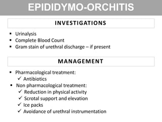EPIDIDYMO-ORCHITIS
INVESTIGATIONS
 Urinalysis
 Complete Blood Count
 Gram stain of urethral discharge – if present
MANAGEMENT
 Pharmacological treatment:
 Antibiotics
 Non pharmacological treatment:
 Reduction in physical activity
 Scrotal support and elevation
 Ice packs
 Avoidance of urethral instrumentation
 