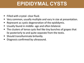 EPIDIDYMAL CYSTS
 Filled with crystal- clear fluid.
 Very common, usually multiple and vary in size at presentation.
 Represent as cystic degeneration of the epididymis.
 Usually found in middle- age and often bilateral.
 The clusters of tense cysts feel like tiny bunches of grapes that
lie posteriorly to and quite separate from the testis.
 Should transilluminate briliantly.
 Diagnosis confirmed by ultrasound.
 