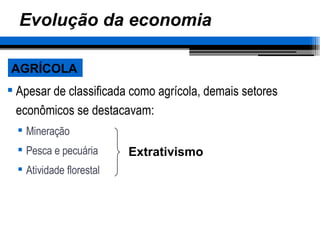 Evolução da economia Apesar de classificada como agrícola, demais setores econômicos se destacavam: Mineração Pesca e pecuária Atividade florestal AGRÍCOLA Extrativismo 