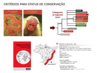 CRITÉRIOS PARA STATUS DE CONSERVAÇÃO
 