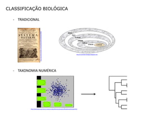 CLASSIFICAÇÃO BIOLÓGICA

  - TRADICIONAL




                          http://quotationsbook.com/quotes/author/photos/4436/




                                                                                        http://e-portfolio-biologia.blogspot.com




  - TAXONOMIA NUMÉRICA




          http://www.kew.org/science-research-data/directory/projects/MorphometAraceae.htm
 