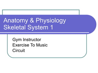 Anatomy & Physiology Skeletal System 1 Gym Instructor Exercise To Music Circuit 