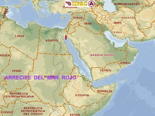 ARRECIFE  DEL  MAR  ROJO 