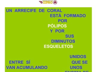 ANATOMÍA DE  UN  PÓLIPO  DE  CORAL UN  ARRECIFE  DE  CORAL  ESTÁ  FORMADO  POR  PÓLIPOS   Y  POR  SUS  DIMINUTOS  ESQUELETOS   UNIDOS  ENTRE   SÍ  QUE SE VAN ACUMULANDO  UNOS  ENCIMA DE OTROS  