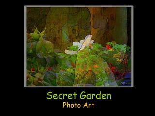 Secret Garden
   Photo Art
 