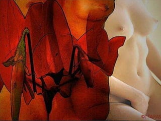 Art-secret garden v??n ??a ?ng