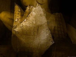 Art-secret garden v??n ??a ?ng