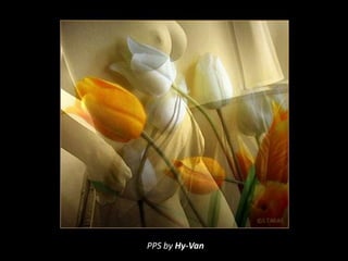 PPS by Hy-Van
 