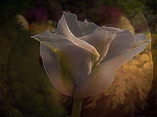 Art-secret garden v??n ??a ?ng