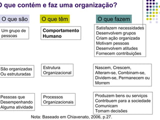 1 As Organizacoes