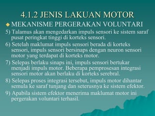4.1.2 JENIS LAKUAN MOTOR
 MEKANISME PERGERAKAN VOLUNTARI
5) Talamus akan mengedarkan impuls sensori ke sistem saraf
pusat peringkat tinggi di korteks sensori.
6) Setelah maklumat impuls sensori berada di korteks
sensori, impuls sensori bersinaps dengan neuron sensori
motor yang terdapat di korteks motor.
7) Selepas berlaku sinaps ini, impuls sensori bertukar
menjadi impuls motor. Beberapa pemprosesan integrasi
sensori motor akan berlaku di korteks serebral.
8) Selepas proses integrasi tersebut, impuls motor dihantar
semula ke saraf tunjang dan seterusnya ke sistem efektor.
9) Apabila sistem efektor menerima maklumat motor ini
pergerakan voluntari terhasil.
 