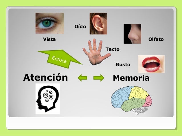 Procesos psicologicos ATENCION