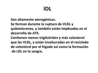 IDL Son altamente aterogénicas. Se forman durante la ruptura de VLDL y quilomicrones, y también están implicados en el desarrollo de ATE.  Contienen menos triglicéridos y más colesterol que las VLDL, y están involucradas en el reciclado de colesterol por el hígado así como la formación de LDL en la sangre. 