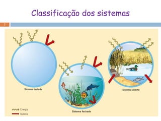 Classificação dos sistemas
2
 