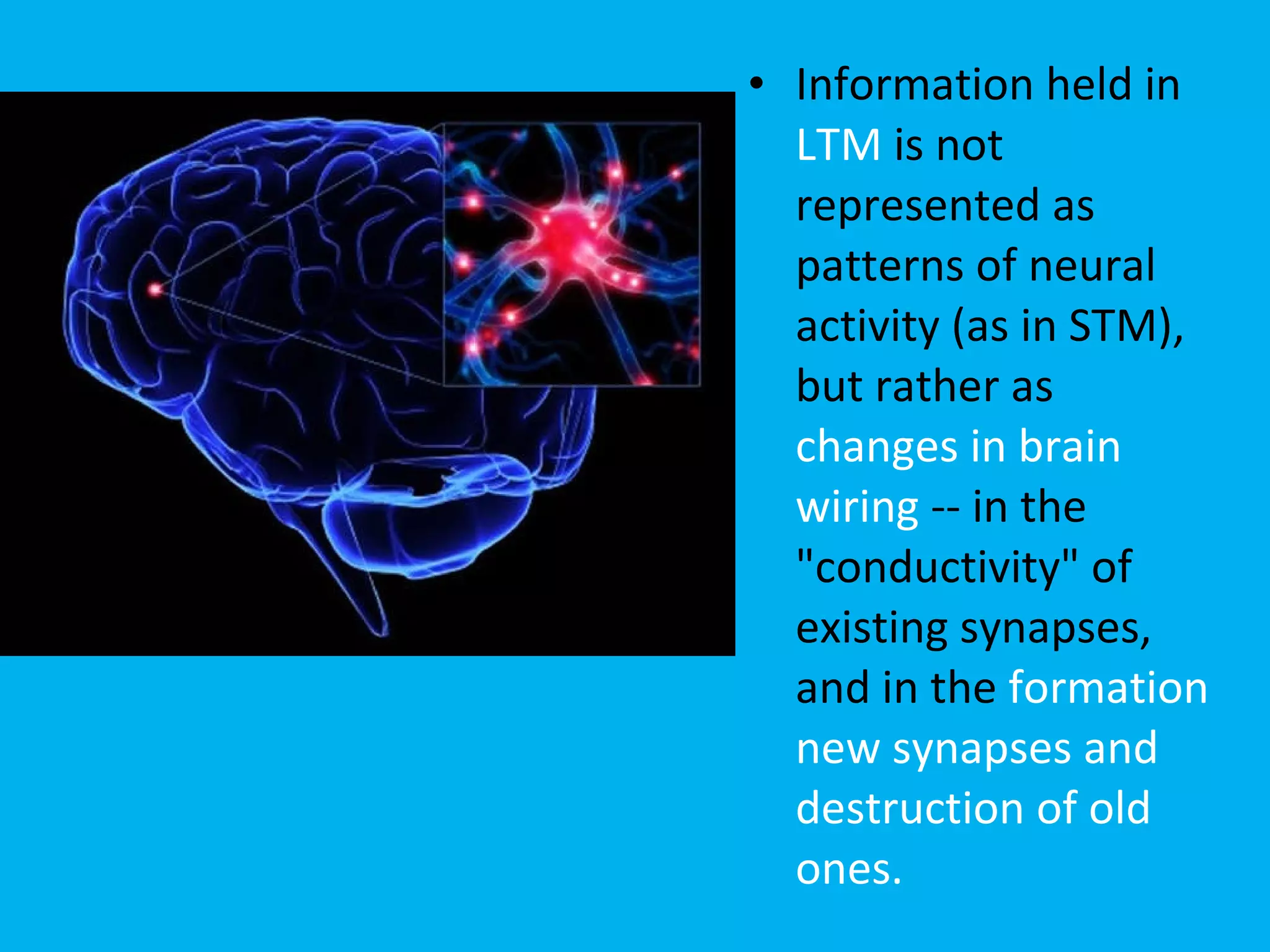 Information held in  LTM  is not represented as patterns of neural activity (as in STM), but rather as  changes in brain wiring  -- in the "conductivity" of existing synapses, and in the  formation new synapses and destruction of old ones.  