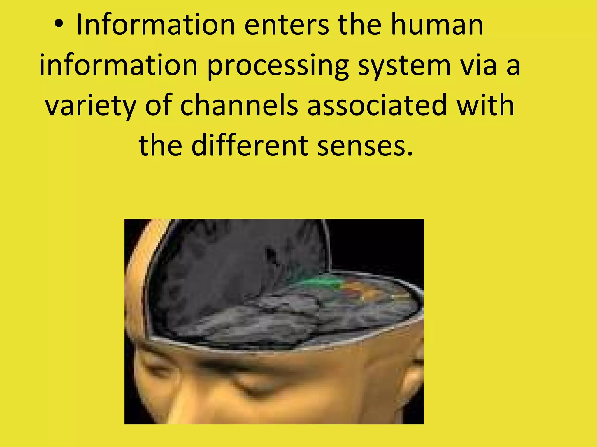 Information enters the human information processing system via a variety of channels associated with the different senses.  