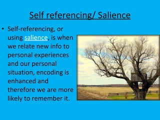 Self referencing/ Salience Self-referencing, or using  salience , is when we relate new info to personal experiences and our personal situation, encoding is enhanced and therefore we are more likely to remember it.  