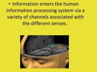 Information enters the human information processing system via a variety of channels associated with the different senses.  