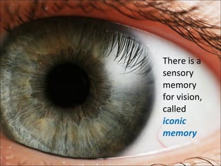 There is a sensory memory for vision, called  iconic memory 