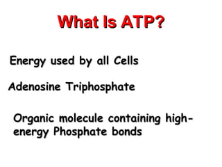 Adenosine triphosphate organic molecules | PPT