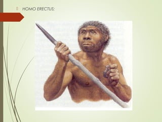  HOMO ERECTUS;
 