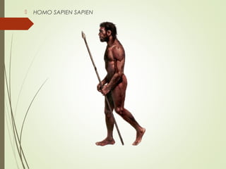  HOMO SAPIEN SAPIEN
 