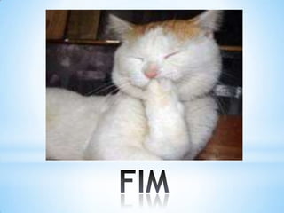 1 ¦ aula investiga+º+úo cientifica