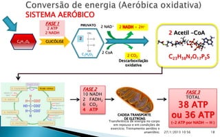 SISTEMA AERÓBICO
          FASE 1      PIRUVATO
           2 ATP                   2 NAD+   2 NADH + 2H+
          2 NADH                                                            2 Acetil -CoA
                      2
C6H12O6   GLICÓLISE


                          C3H4O3   2 CoA
                                                2 CO2                       C23H38N7O17P3S
                                            Descarboxilação
                                               oxidativa




                          FASE 2
                          10 NADH                                                     FASE 3
                          2 FADH2                                                     TOTAL
                          6 CO2
                          4 ATP
                                                                               38 ATP
                                            CADEIA TRANSPORTE
                                               DE ELETRONS
                                                                              ou 36 ATP
                                      Transferência de energia no corpo
                                                                              (-2 ATP por NADH → H )
                                         em repouso e em condições de
                                       exercício; Treinamento aeróbio e
                                                             anaeróbio;   27/1/2013 10:56         18
 