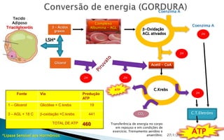 Coenzima A
      Tecido
     Adiposo                                       Complexo
                                                                                                            Coenzima A
  Triacilgliceróis          3 - Ácidos          Albumina - AGL                -Oxidação
                             graxos
                                                                              AGL ativados                           2H

                        LSH*

                                                                                                     2H


                             Glicerol
                                                                                   Acetil - CoA


                                           2H                     2H



                                                            ATP                      C.Krebs
        Fonte        Via                   Produção                                                             2H
                                           ATP
  1 – Glicerol       Glicólise + C.krebs        19

  3 – AGL + 18 C     -oxidação +C.krebs        441                        CO2                             C.T.Eletróns

                            TOTAL DE ATP   460            Transferência de energia no corpo
                                                             em repouso e em condições de

*Lipase Sensível aos Hormônios
                                                           exercício; Treinamento aeróbio e
                                                                                 anaeróbio;
                                                                                                           ATP
                                                                                              27/1/2013 10:56             19
 