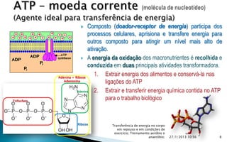       Composto (doador-receptor de energia) participa dos
                              processos celulares, aprisiona e transfere energia para
                              outros composto para atingir um nível mais alto de
                              ativação.
                           A energia da oxidação dos macronutrientes é recolhida e
                              conduzida em duas principais atividades transformadora.
             Adenina + Ribose
                                 1. Extrair energia dos alimentos e conservá-la nas
                Adenosina             ligações do ATP
                        Adenina  2. Extrair e transferir energia química contida no ATP
Trifosfato
                                      para o trabalho biológico


                     Ribose          Transferência de energia no corpo
                                        em repouso e em condições de
                                      exercício; Treinamento aeróbio e
                                                            anaeróbio;   27/1/2013 10:56   8
 