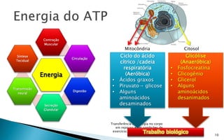 Contração
               Muscular
                                                Mitocôndria                       Citosol
 Síntese
                           Circulação
                                             Ciclo do ácido                         Glicólise
 Tecidual
                                             cítrico /cadeia                     (Anaeróbica)
                                               respiratória                 •   Fosfocreatina
              Energia                           (Aeróbica)                  •   Glicogênio
                                         •   Ácidos graxos                  •   Glicerol
                                         •   Piruvato→ glicose              •   Alguns
Transmissão
   neural
                           Digestão      •   Alguns                             aminoácidos
                                             aminoácidos                        desanimados
               Secreção                      desaminados
               Glandular



                                        Transferência de energia no corpo
                                           em repouso e em condições de
                                                            Trabalho biológico
                                         exercício; Treinamento aeróbio e
                                                               anaeróbio;
                                                                     27/1/2013 10:56            10
 