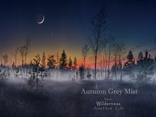 Autumn Grey Mist 
Music 
Wilderness 
Adam Hurst - Cello 
 